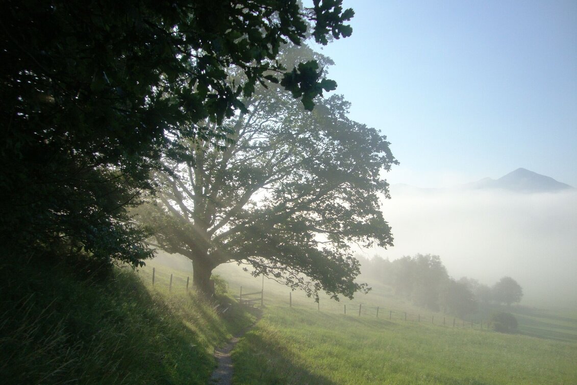 Hiking route F.X. Mayr Way - Touren-Impression #1 | © Erlebnisregion Schladming-Dachstein