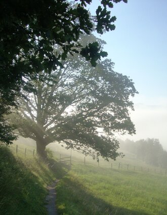 f.x. mayr weg_img_62043491 | Schladming Dachstein - TVB Gröbminger Land | © Erlebnisregion Schladming-Dachstein