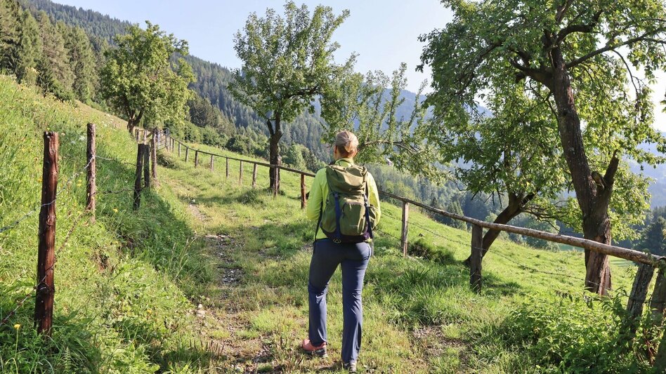 Hiking route Habring von Unzmarkt-Frauenburg - Touren-Impression #2.4 | © Weges OG