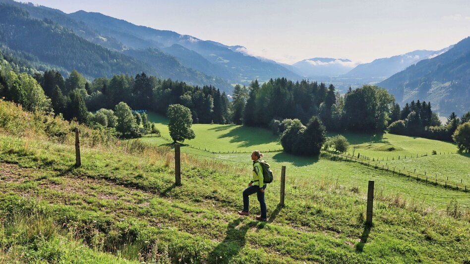 Hiking route Habring von Unzmarkt-Frauenburg - Touren-Impression #2.5 | © Weges OG
