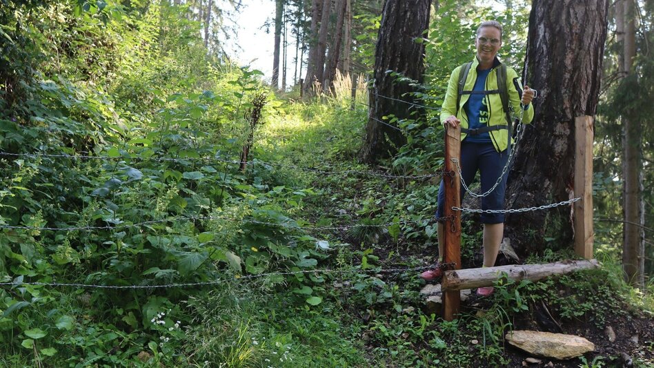 Hiking route Habring von Unzmarkt-Frauenburg - Touren-Impression #2.6 | © Weges OG