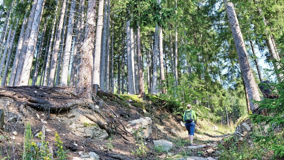 Hiking route Habring von Unzmarkt-Frauenburg - Touren-Impression #2.7 | © Weges OG