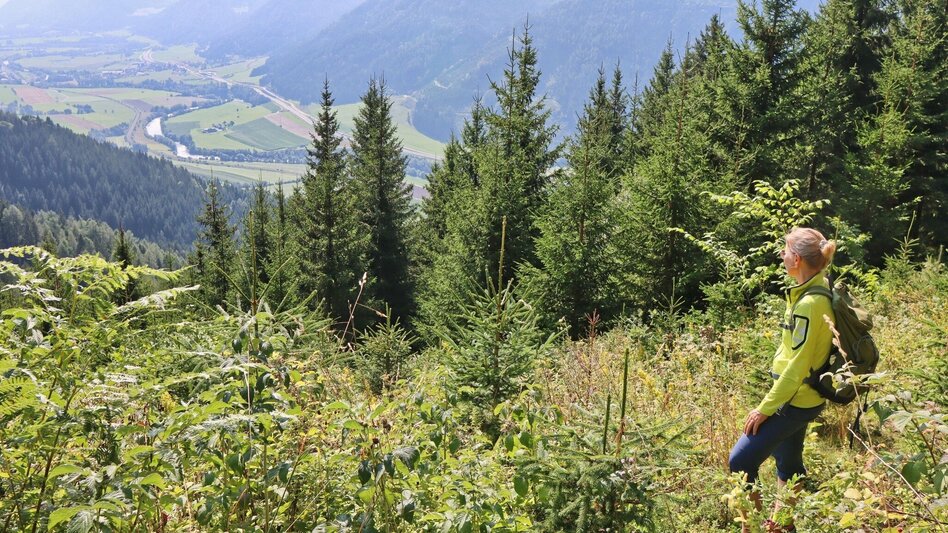 Hiking route Habring von Unzmarkt-Frauenburg - Touren-Impression #2.8 | © Weges OG
