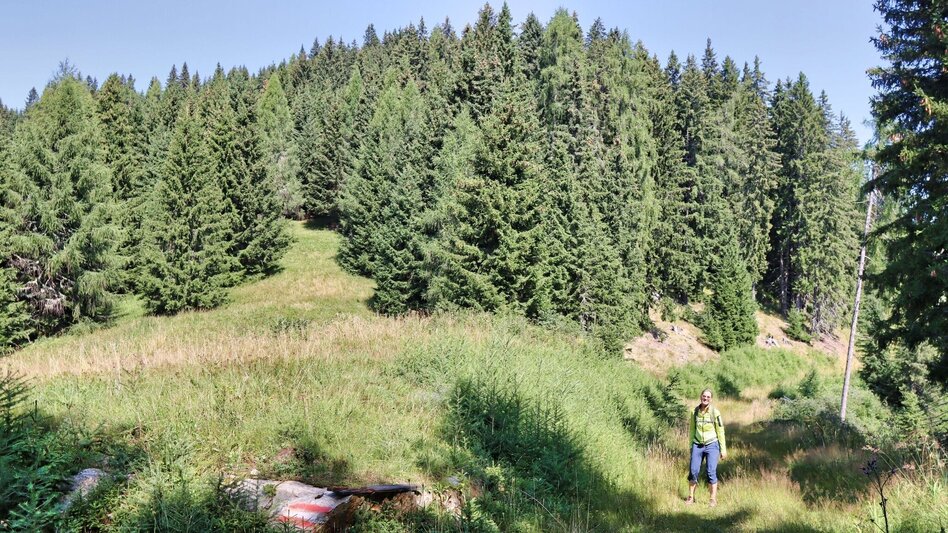Hiking route Habring von Unzmarkt-Frauenburg - Touren-Impression #2.12 | © Weges OG