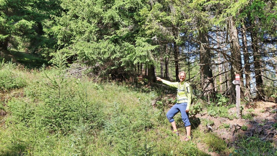 Hiking route Habring von Unzmarkt-Frauenburg - Touren-Impression #2.13 | © Weges OG