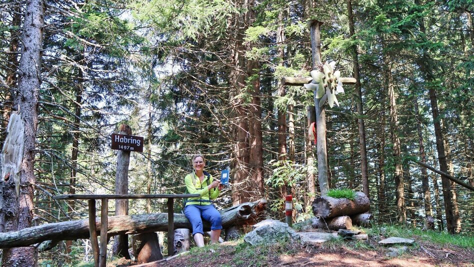 Hiking route Habring von Unzmarkt-Frauenburg - Touren-Impression #2.14 | © Weges OG