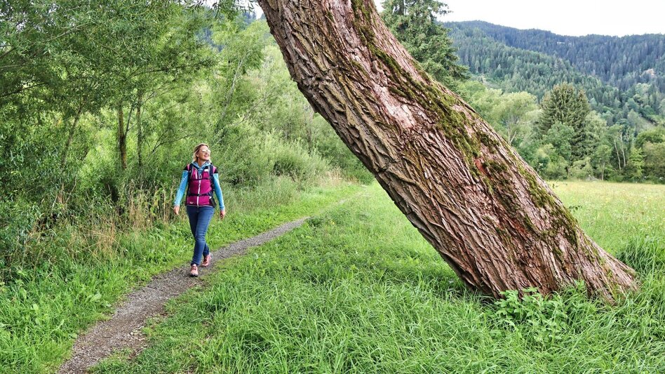 Wanderung Rundwanderung nach St. Oswald - Touren-Impression #2.4 | © Weges OG