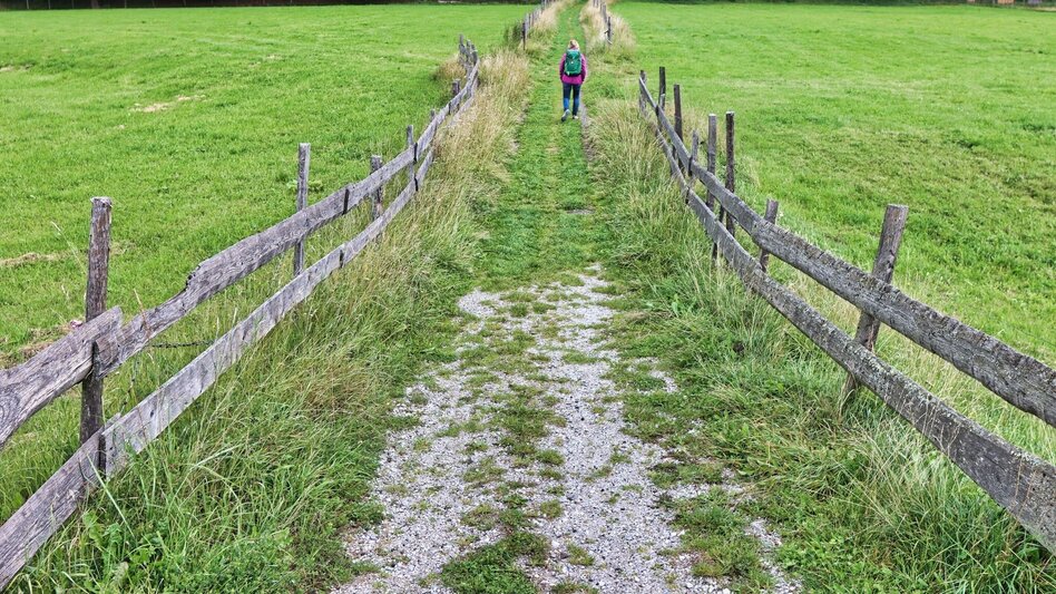 Wanderung Rundwanderung nach St. Oswald - Touren-Impression #2.7 | © Weges OG