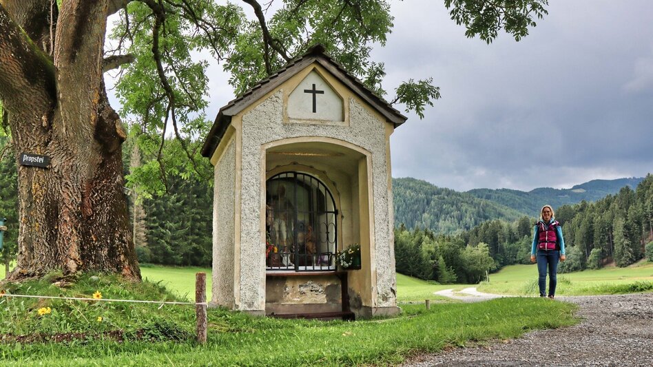 Wanderung Rundwanderung nach St. Oswald - Touren-Impression #2.10 | © Weges OG