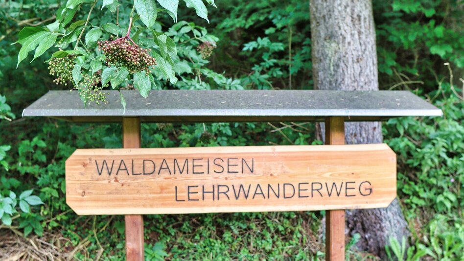 Wanderung Rundwanderung nach St. Oswald - Touren-Impression #2.8 | © Weges OG