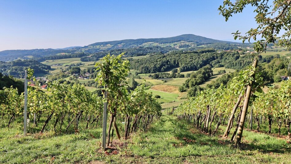 Hiking route 3-Cone Way Variant (3-Kogel-Weg Variante) - Touren-Impression #2.3 | © Thermen- & Vulkanland