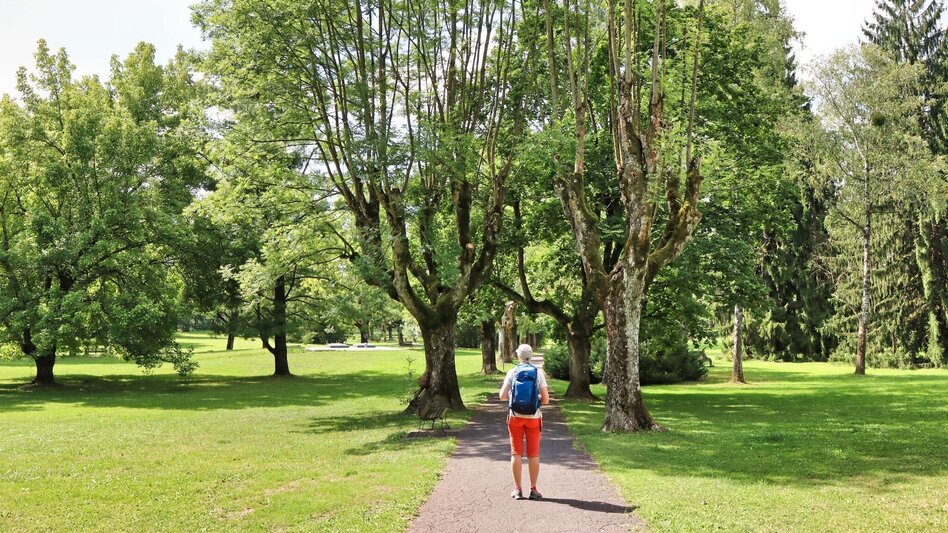 Hiking route 3-Cone Way Variant (3-Kogel-Weg Variante) - Touren-Impression #2.7 | © Thermen- & Vulkanland