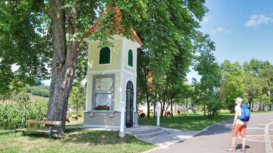 Hiking route 3-Cone Way Variant (3-Kogel-Weg Variante) - Touren-Impression #2.9 | © Thermen- & Vulkanland