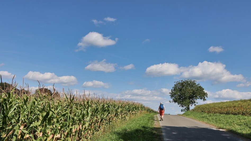 Hiking route 3-Cone Way Variant (3-Kogel-Weg Variante) - Touren-Impression #2.10 | © Thermen- & Vulkanland