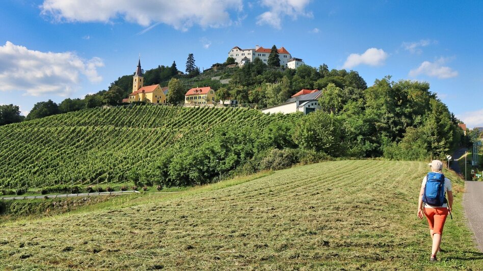 Hiking route 3-Cone Way Variant (3-Kogel-Weg Variante) - Touren-Impression #2.13 | © Thermen- & Vulkanland