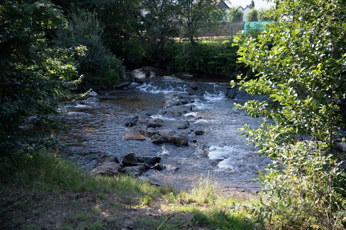 Jogging wellness mile - Touren-Impression #1 | © Schilcherland Steiermark