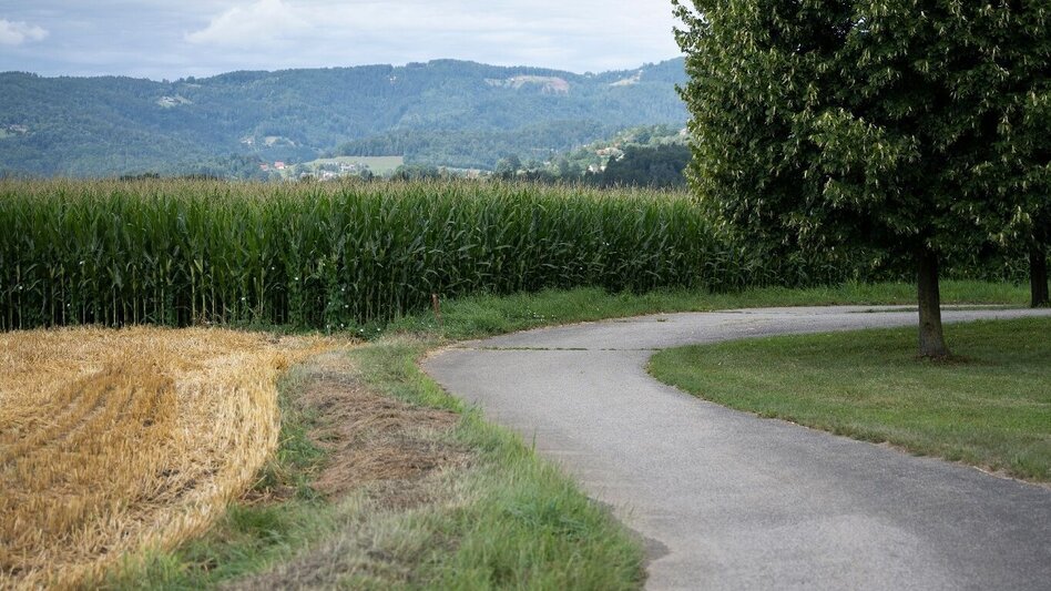 Jogging wellness mile - Touren-Impression #2.2 | © Südsteiermark