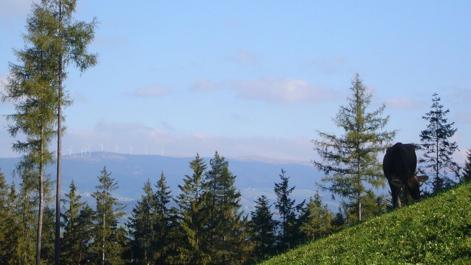 Wanderung Schulmeisterhöhweg, Strallegg - Touren-Impression #2.1 | © Sepp Reitbauer