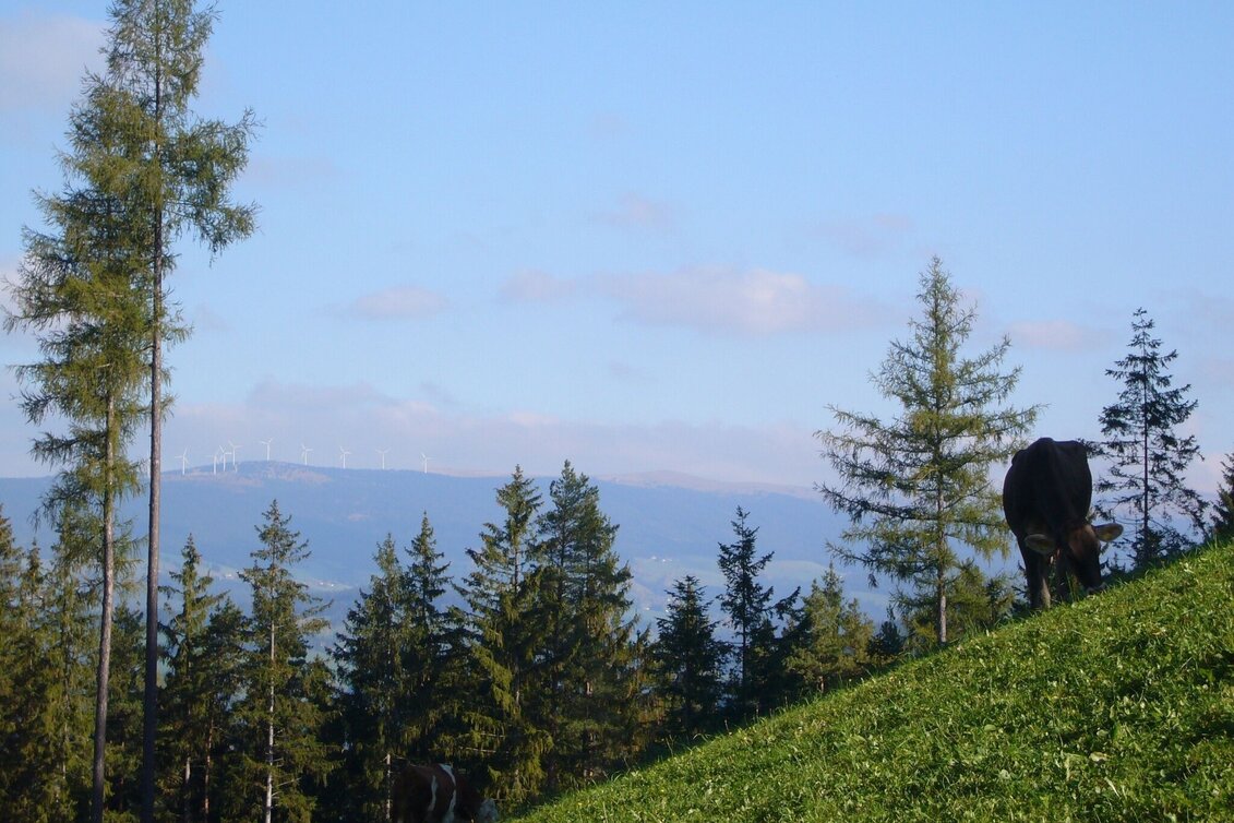 Wanderung Schulmeisterhöhweg, Strallegg - Touren-Impression #1 | © Sepp Reitbauer
