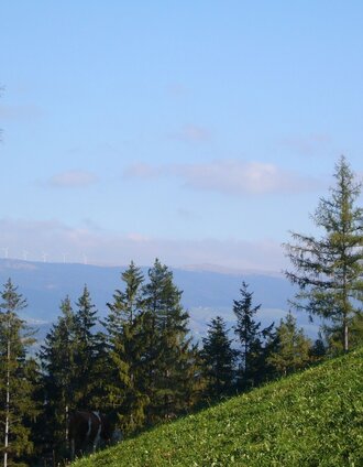 schulmeisterhöhweg, strallegg_img_6257675 | Birgit Kandlbauer | © Sepp Reitbauer