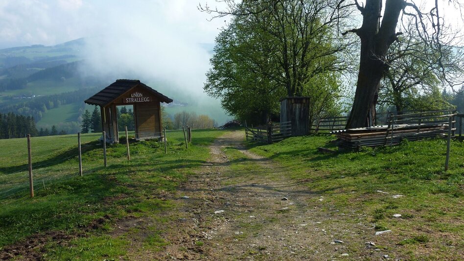 Wanderung Schulmeisterhöhweg, Strallegg - Touren-Impression #2.2 | © Sepp Reitbauer