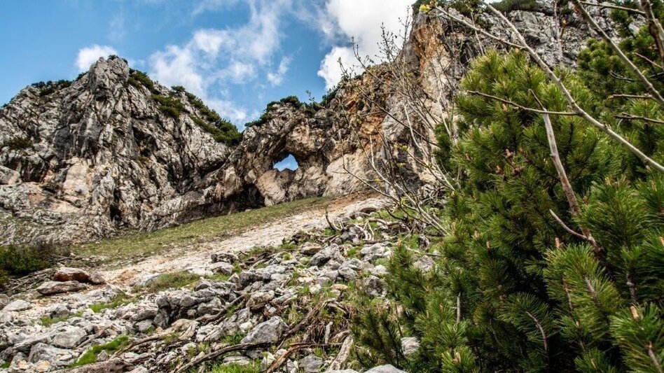 Klettersteig Teufelsteig / Tieflimauer - Touren-Impression #2.3 | © TV Gesäuse