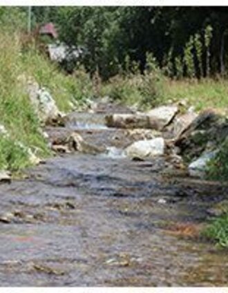 lechner graben - wildbachlweg, strallegg_img_6513554 | Sepp Reitbauer | © Robert Schafferhofer