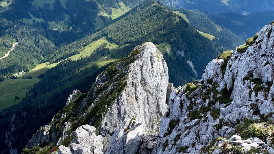 Via Ferrata Wildfrauensteig - Bosruck Nordostgrad - Touren-Impression #2.6 | © TV Gesäuse