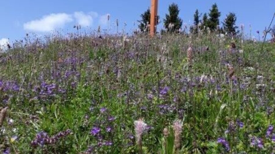 Hiking route Vom Preiner Gscheid auf die Hohe Scheibe im Naturpark Mürzer Oberland - Touren-Impression #2.3 | © Alpenverein Mürzzuschlag