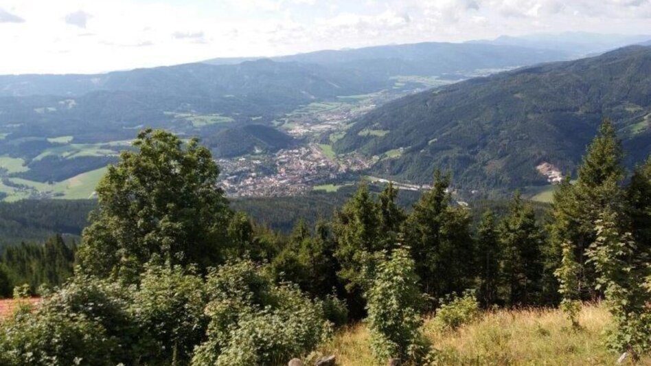 Hiking route Vom Preiner Gscheid auf die Hohe Scheibe im Naturpark Mürzer Oberland - Touren-Impression #2.6 | © Alpenverein Mürzzuschlag