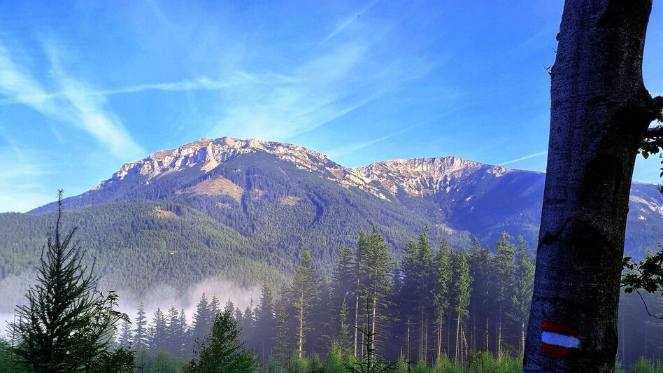 Hiking route Vom Preiner Gscheid auf die Hohe Scheibe im Naturpark Mürzer Oberland - Touren-Impression #2.8 | © TV Hochsteiermark
