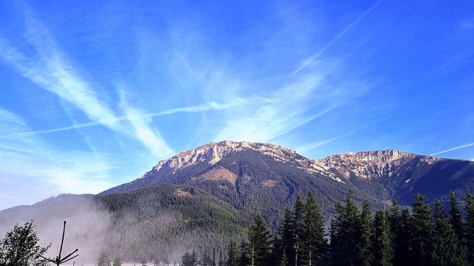 Hiking route Vom Preiner Gscheid auf die Hohe Scheibe im Naturpark Mürzer Oberland - Touren-Impression #2.9 | © TV Hochsteiermark
