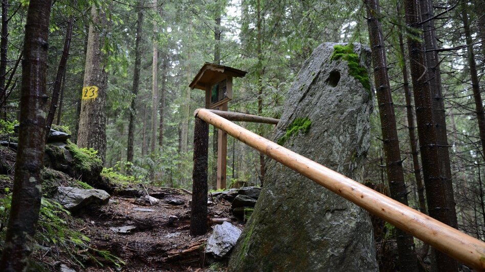 Hiking route Lochsteinweg, Strallegg - Touren-Impression #2.3 | © Oststeiermark Tourismus