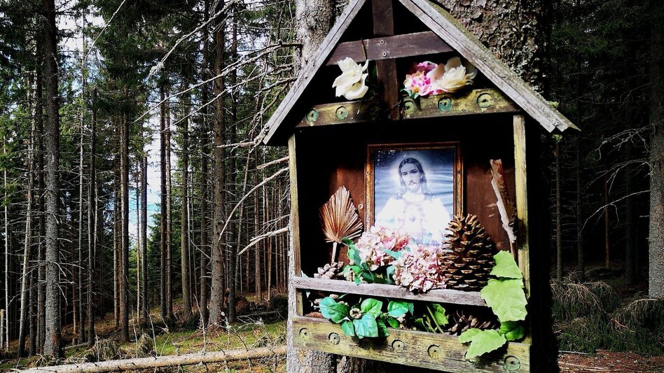 Hiking route To the Stanglalm from Stanz im Mürztal - Touren-Impression #2.4 | © TV Hochsteiermark