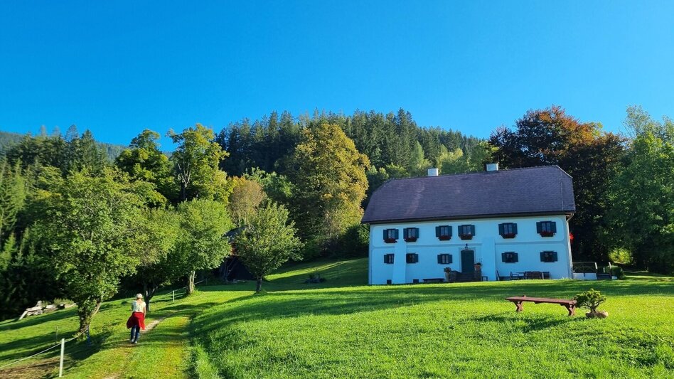 Hiking route To the Stanglalm from Stanz im Mürztal - Touren-Impression #2.5 | © TV Hochsteiermark