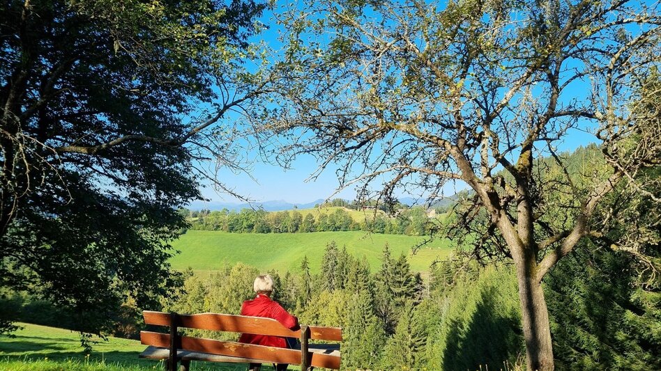 Hiking route To the Stanglalm from Stanz im Mürztal - Touren-Impression #2.6 | © TV Hochsteiermark
