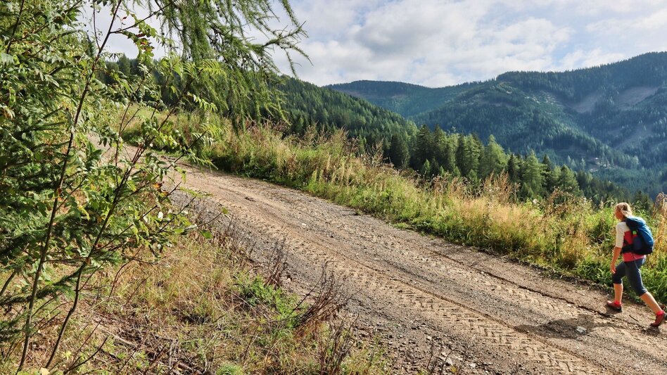 Wanderung Schafkogel von St. Georgen ob Judenburg - Touren-Impression #2.6 | © Weges OG