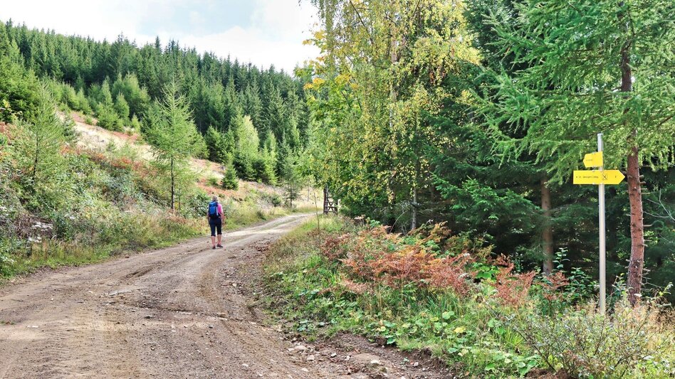 Wanderung Schafkogel von St. Georgen ob Judenburg - Touren-Impression #2.7 | © Weges OG