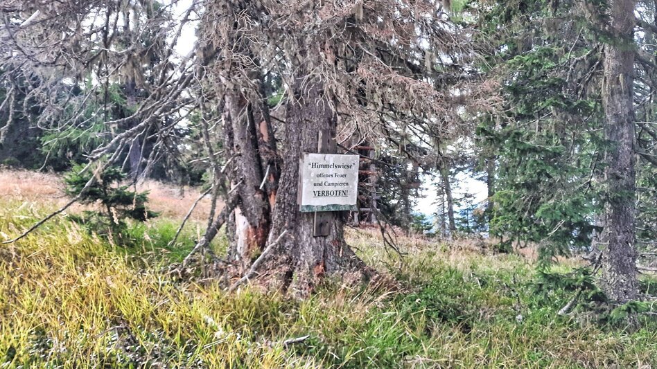 Wanderung Schafkogel von St. Georgen ob Judenburg - Touren-Impression #2.9 | © Weges OG