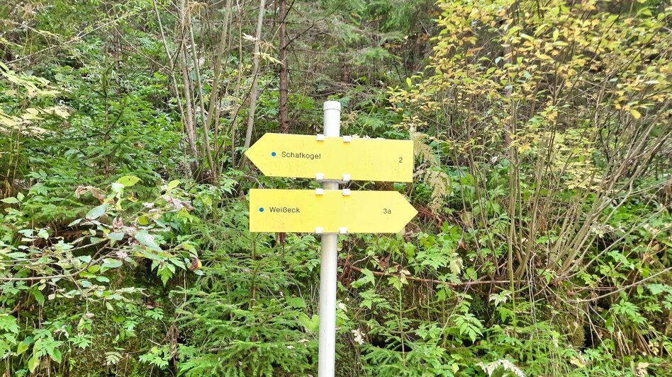 Hiking route Weißeck starting in St. Georgen ob Judenburg - Touren-Impression #2.3 | © Weges OG