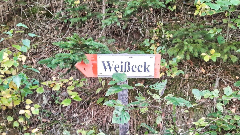 Hiking route Weißeck starting in St. Georgen ob Judenburg - Touren-Impression #2.5 | © Weges OG