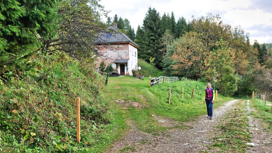 Hiking route Weißeck starting in St. Georgen ob Judenburg - Touren-Impression #2.6 | © Weges OG