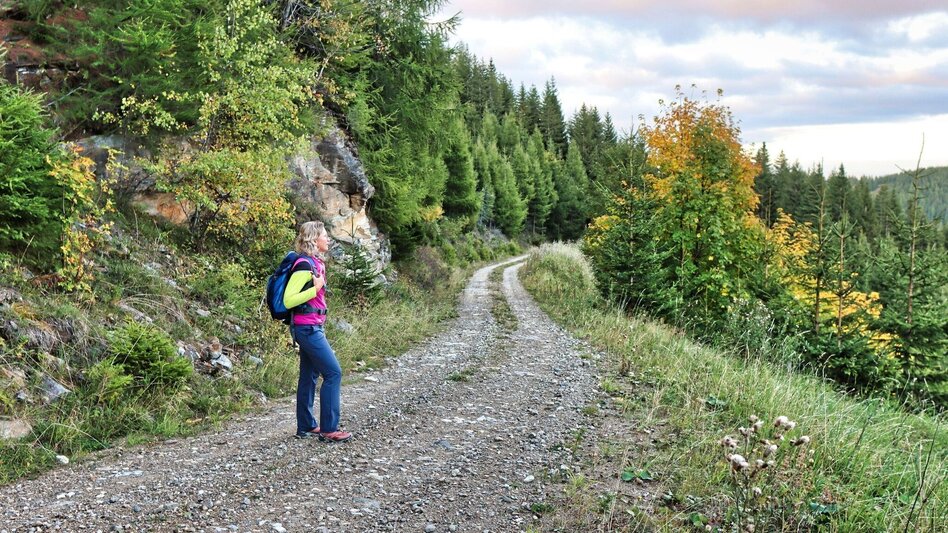 Hiking route Weißeck starting in St. Georgen ob Judenburg - Touren-Impression #2.7 | © Weges OG