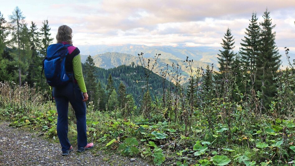 Hiking route Weißeck starting in St. Georgen ob Judenburg - Touren-Impression #2.9 | © Weges OG