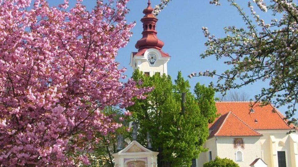 Hiking route Strallegg-Kleinlandl-Frauengraben / Pacher, Strallegg - Touren-Impression #2.3 | © Franz Pöcklhofer