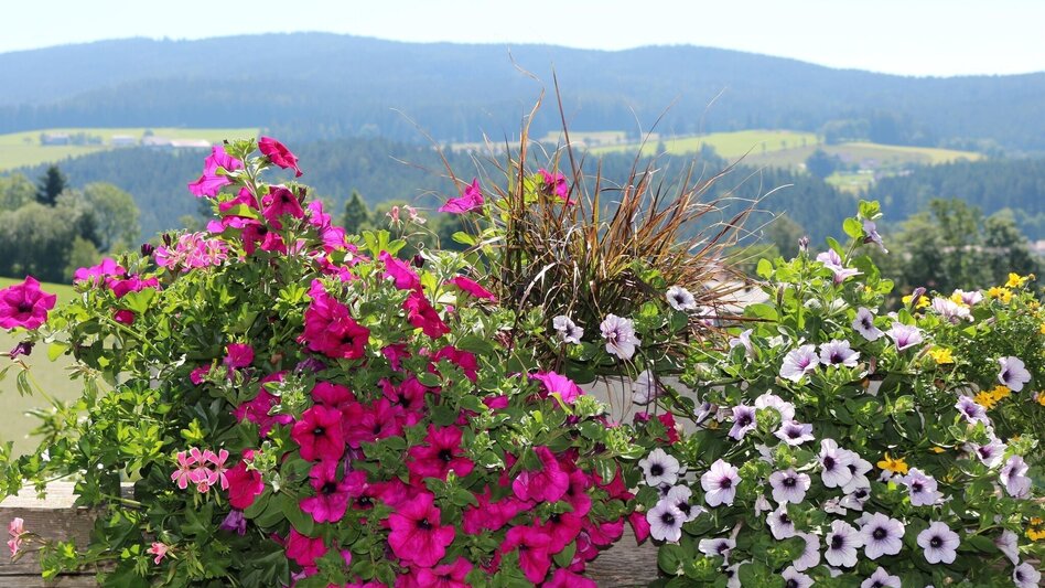 Hiking route Strallegg-Kleinlandl-Frauengraben / Pacher, Strallegg - Touren-Impression #2.4 | © Gemeinde Strallegg
