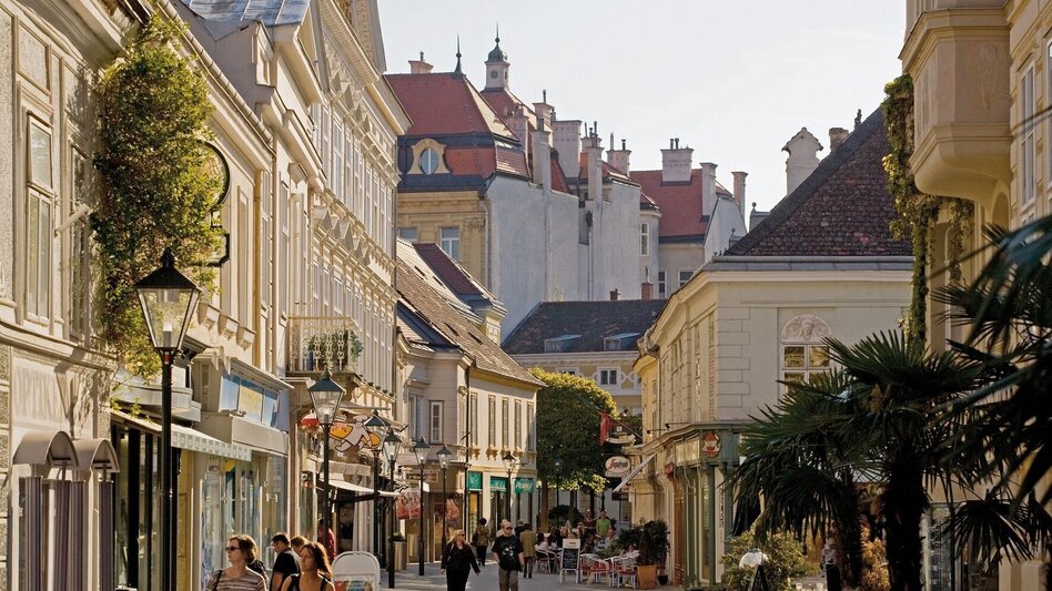 Bike Riding EuroVelo 9: mit dem Fahrrad durch Österreich - Touren-Impression #2.6 | © Erlebnisregion Thermen- & Vulkanland