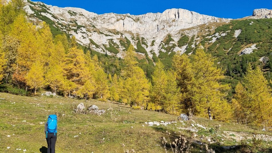 Alpine Climbing Über Kantnerkamin und Cäciliensteig auf die Rax im Naturpark Mürzer Oberland - Touren-Impression #2.6 | © TV Hochsteiermark