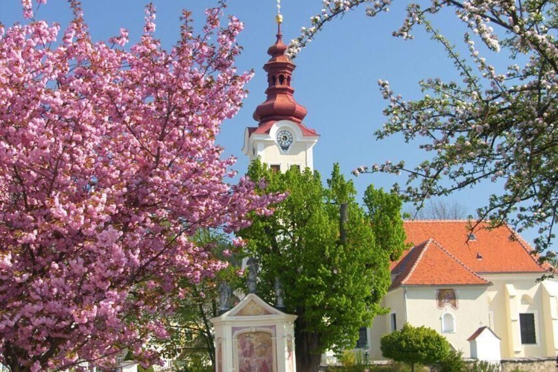 Wanderung Strallegger Kögerlweg, Strallegg - Touren-Impression #1 | © Franz Pöcklhofer