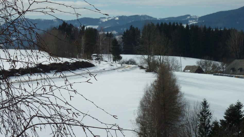 Wanderung Strallegger Kögerlweg, Strallegg - Touren-Impression #2.2 | © Oststeiermark Tourismus